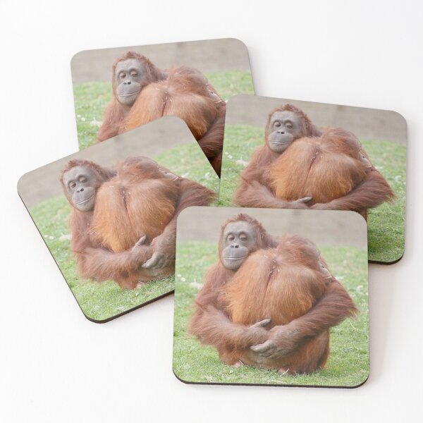 Item preview, Orangutan Hug designed and sold by booksfoodfandom.
