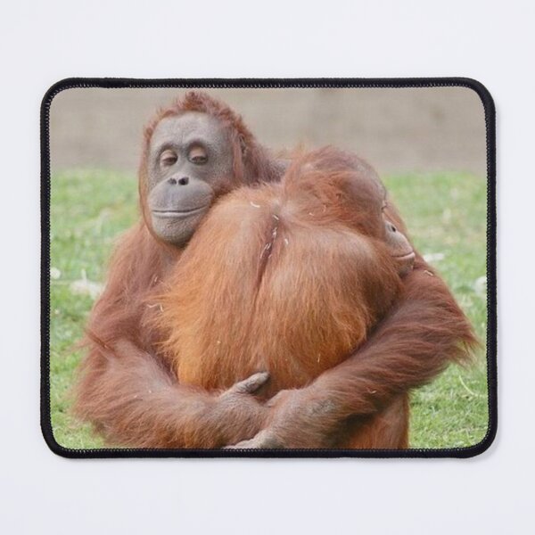 Item preview, Orangutan Hug designed and sold by booksfoodfandom.