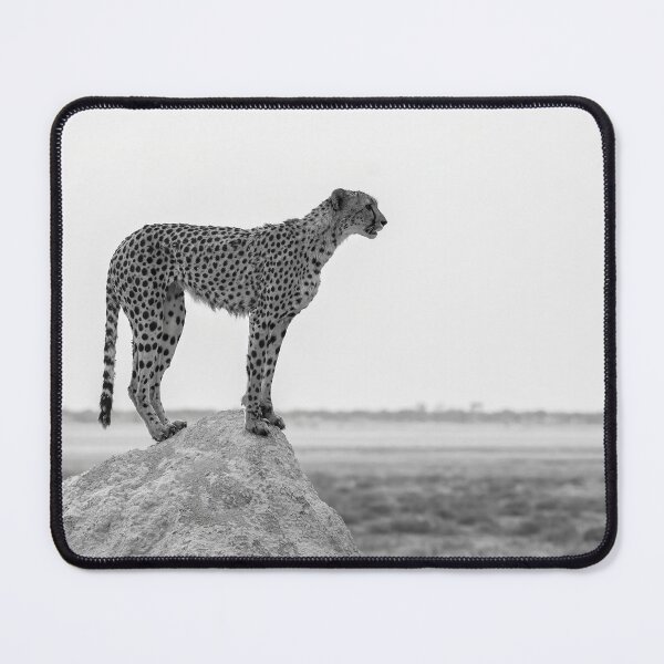 Item preview, Black and White Cheetah: Gaze Over the Savannah designed and sold by DavideAntoniani.