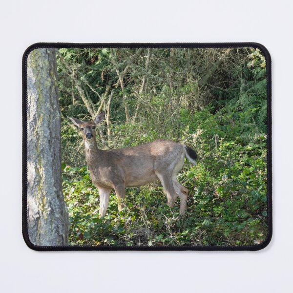 Item preview, Surprised Deer designed and sold by TinyDinoDesigns.