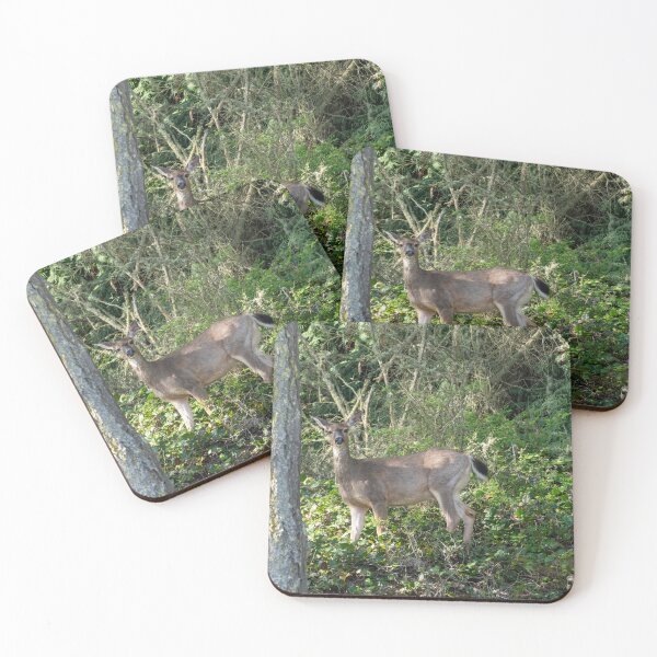 Item preview, Surprised Deer designed and sold by TinyDinoDesigns.