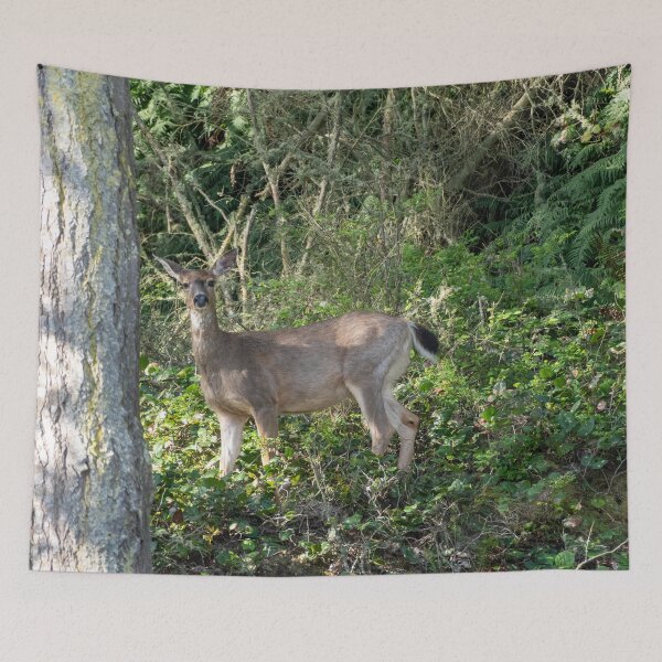 Item preview, Surprised Deer designed and sold by TinyDinoDesigns.