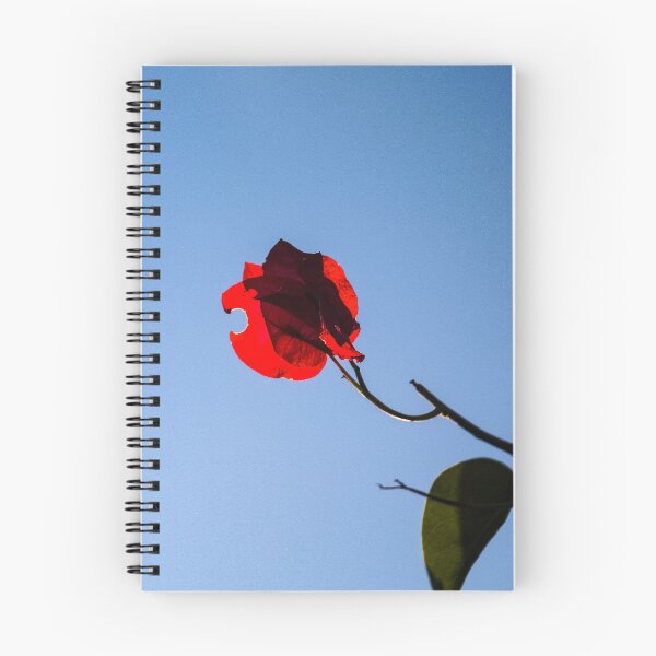 Item preview, Key Largo Flower designed and sold by Aidan Fraser.