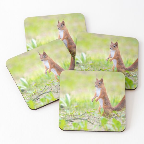 Item preview, Little squirrel in a park designed and sold by spyparcam.