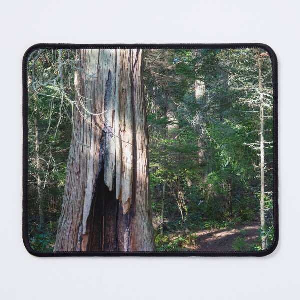 Item preview, Hollow tree designed and sold by TinyDinoDesigns.