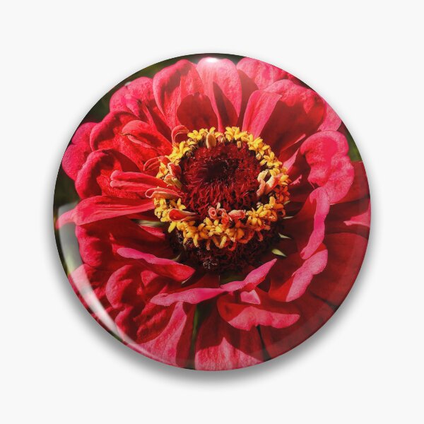 Item preview, From A to Zinnea designed and sold by Steve Walser.