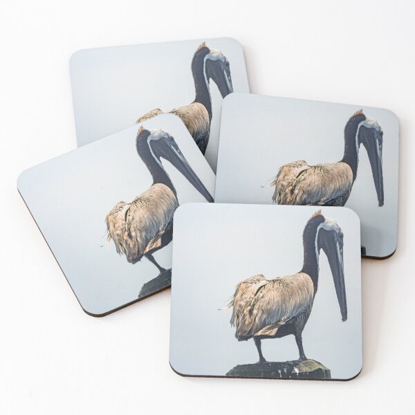 Item preview, Brown Pelican in Calabash designed and sold by KensLensDesigns.