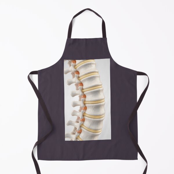 Item preview, Lumbar Spine Anatomy designed and sold by John Armstrong.