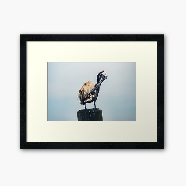 Item preview, Cleaning Pelican designed and sold by KensLensDesigns.