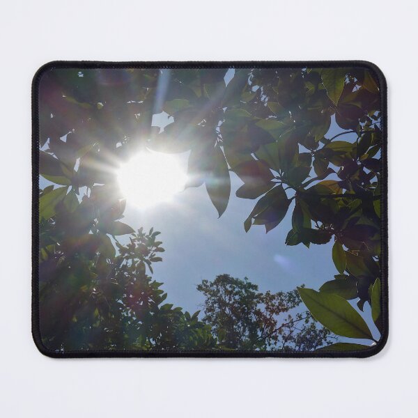Item preview, Sun through trees, Nantes 1 designed and sold by paulboizot.