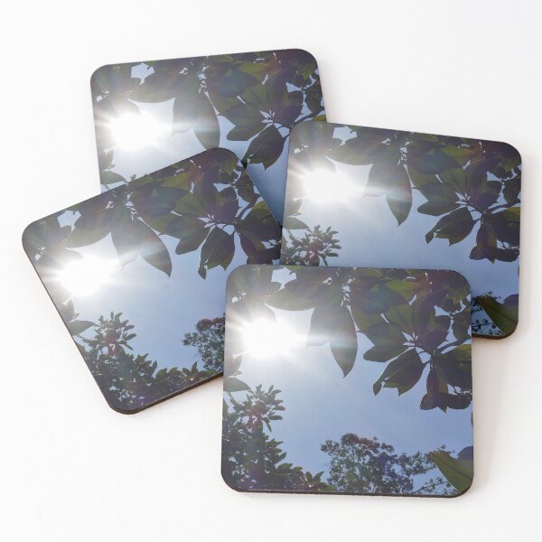 Item preview, Sun through trees, Nantes 2 designed and sold by paulboizot.