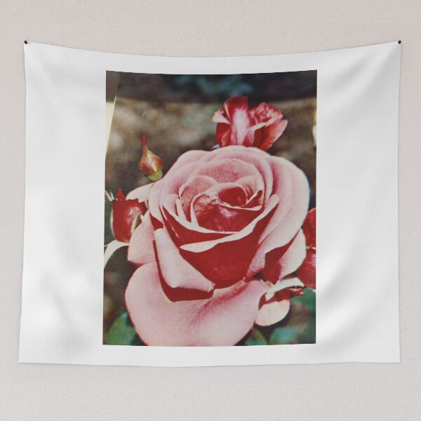Item preview, Pink roses communicate feelings of admiration and appreciation.  designed and sold by Valgasnews011.