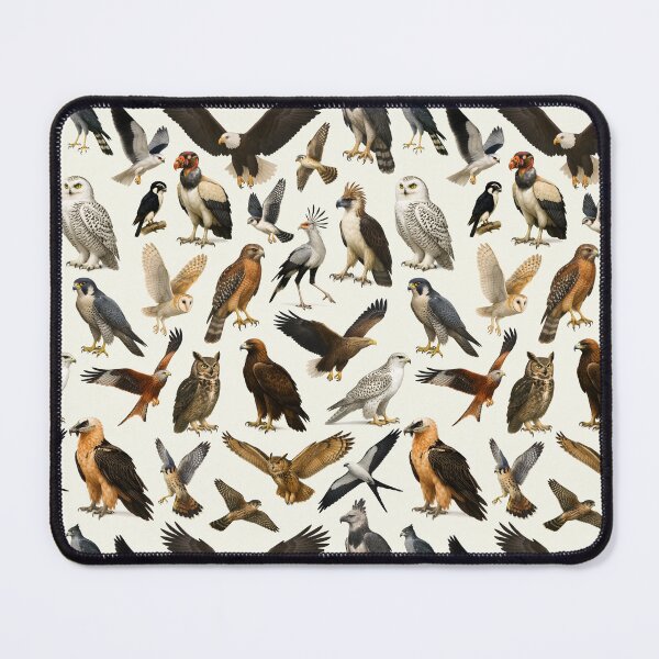 Item preview, Birds of Prey Retro Ornithology Illustration Wildlife Chart designed and sold by kakarikihill.