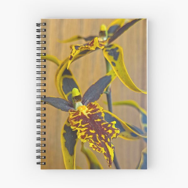 Item preview, Mesmerizing Patterns designed and sold by Betsy Phillips.