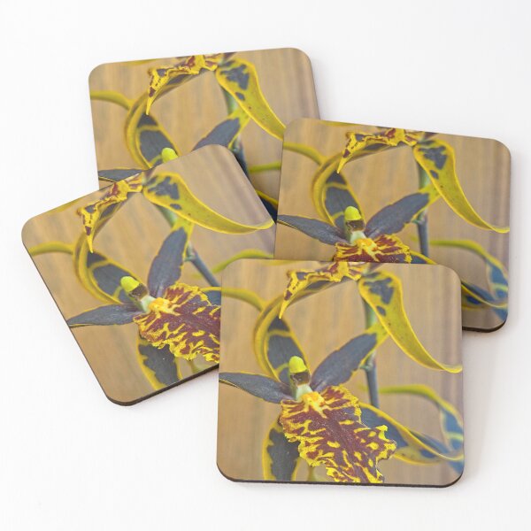 Item preview, Mesmerizing Patterns designed and sold by Betsy Phillips.