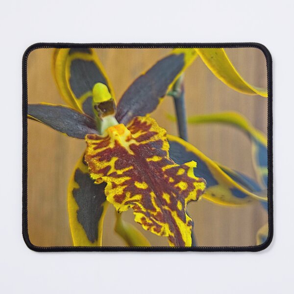 Item preview, Mesmerizing Patterns designed and sold by Betsy Phillips.