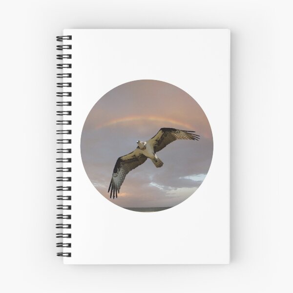 Item preview, Osprey designed and sold by Liam Wolff.