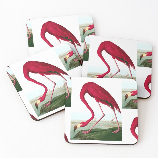 Item preview, John James Audubon - American Flamingo designed and sold by Jon-Baran.