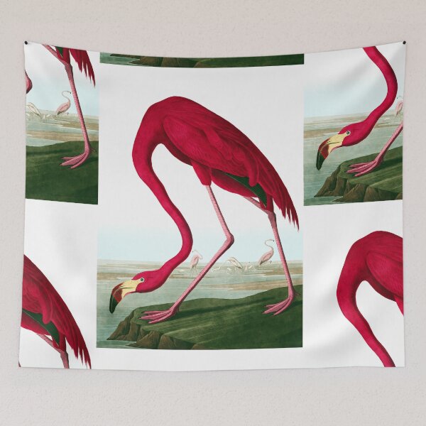 Item preview, John James Audubon - American Flamingo designed and sold by Jon-Baran.
