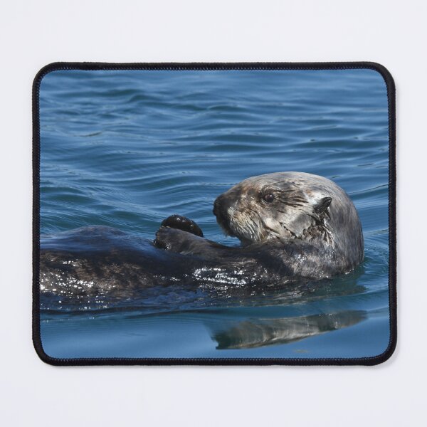 Item preview, Sea Otter designed and sold by EaglemasterArts.