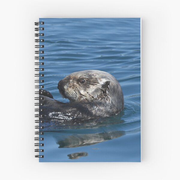 Item preview, Sea Otter designed and sold by EaglemasterArts.