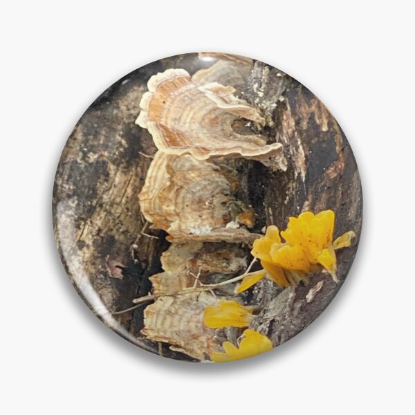 Item preview, Turkey Tail and Brain mushrooms on Log designed and sold by Kandoart.