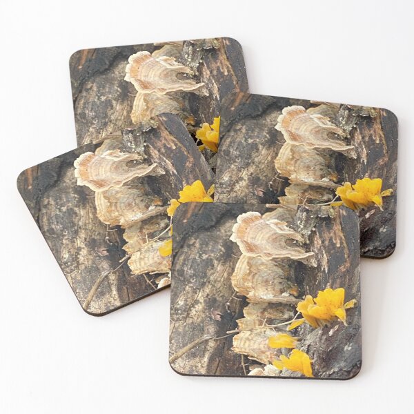 Item preview, Turkey Tail and Brain mushrooms on Log designed and sold by Kandoart.