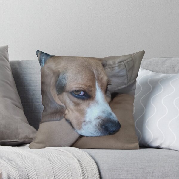 Item preview, Beagle dogs  designed and sold by Tomtom13420.