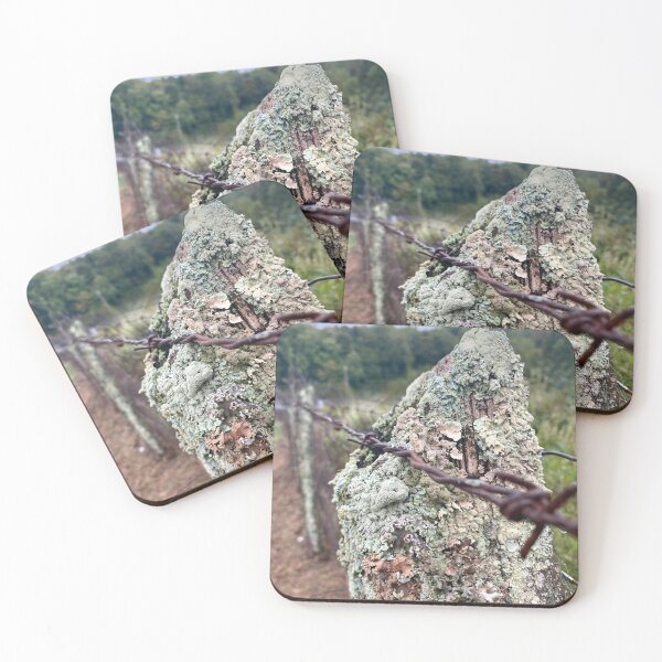 Item preview, Lichen Fencepost with Rustic Barbwire designed and sold by Kandoart.