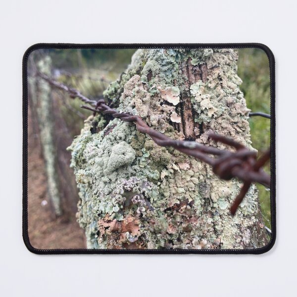 Item preview, Lichen Fencepost with Rustic Barbwire designed and sold by Kandoart.