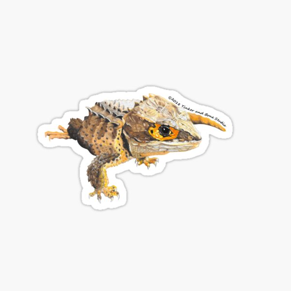 Item preview, Red Eye Crocodile Skink designed and sold by TinkerandBone.