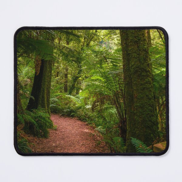 Item preview, Otways rainforest - Great Otway National Park, Victoria designed and sold by EGRS Photography.