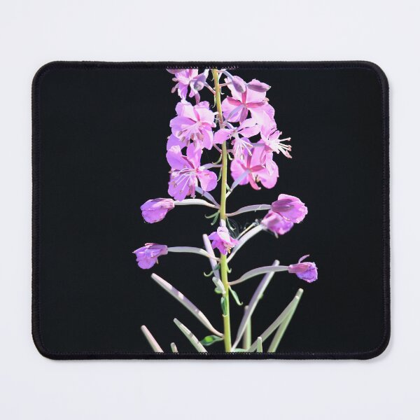 Item preview, Fireweed designed and sold by EaglemasterArts.