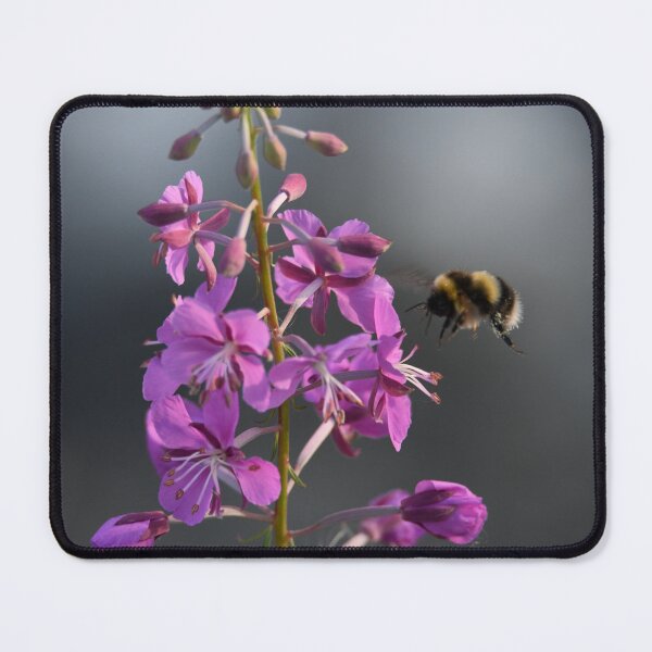 Item preview, Fireweed and Bee designed and sold by EaglemasterArts.