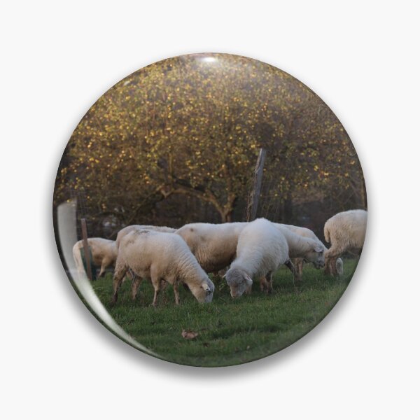 Item preview, Sheep in a field designed and sold by Bebesongo.