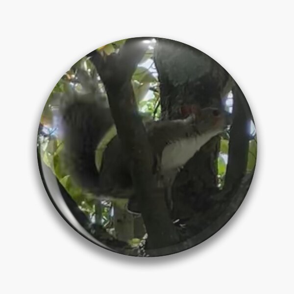 Item preview, Squirrel in a Tree designed and sold by Amanda1775.