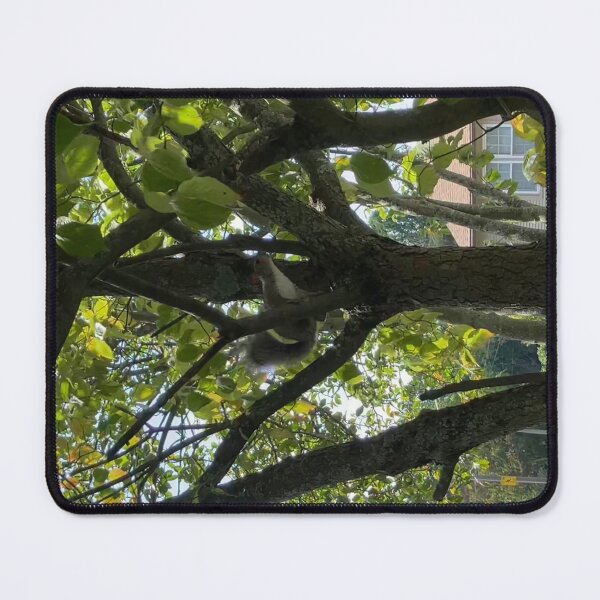 Item preview, Squirrel in a Tree designed and sold by Amanda1775.