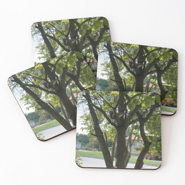 Item preview, Squirrel in a Tree designed and sold by Amanda1775.