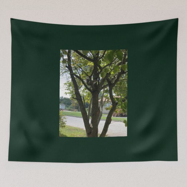Item preview, Squirrel in a Tree designed and sold by Amanda1775.