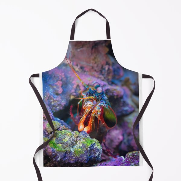 Item preview, Colorful Fish designed and sold by newandchange.