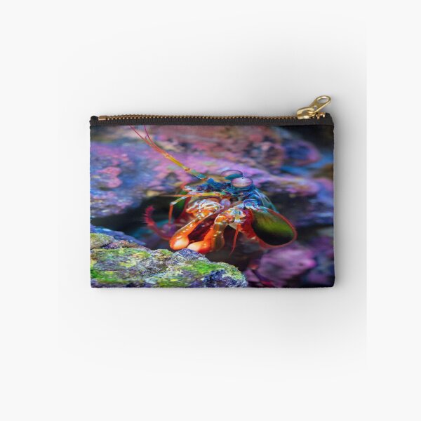 Item preview, Colorful Fish designed and sold by newandchange.