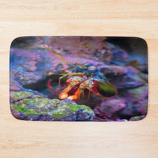 Item preview, Colorful Fish designed and sold by newandchange.
