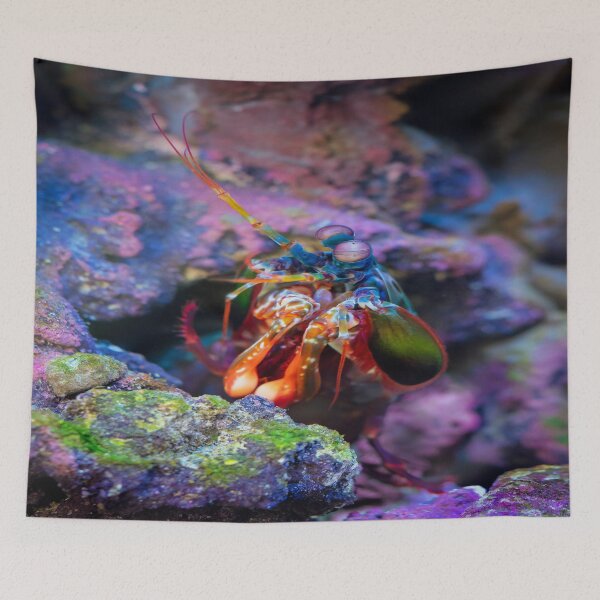 Item preview, Colorful Fish designed and sold by newandchange.