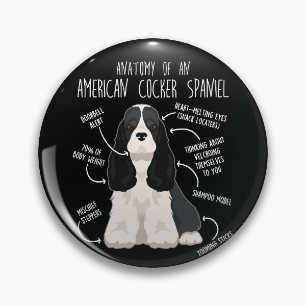 Item preview, Black and White American Cocker Spaniel Dog Anatomy designed and sold by Clara Hollins.