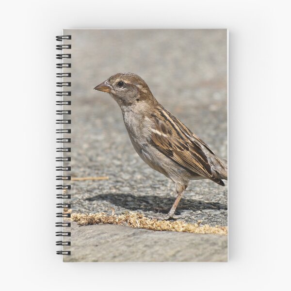 Item preview, Roadside sparrow designed and sold by GreyFeatherPhot.