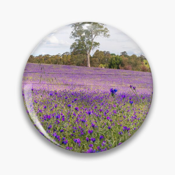 Item preview, Purple field - Williamstown, South Australia  designed and sold by EGRS Photography.