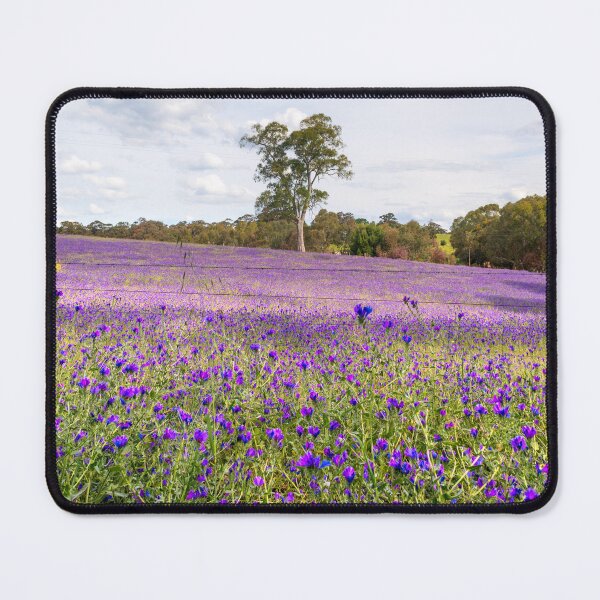 Item preview, Purple field - Williamstown, South Australia  designed and sold by EGRS Photography.