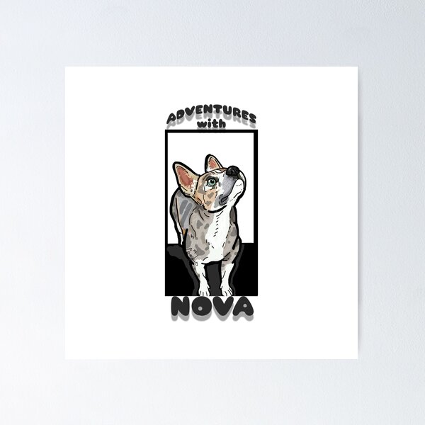 Item preview, Adventures with Nova!  designed and sold by EJBeyondTheCanvas .