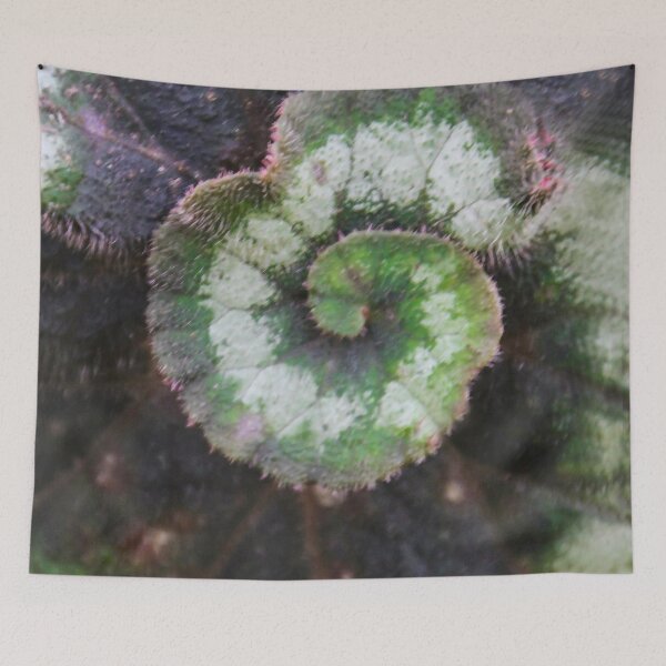Item preview, Nature's Art designed and sold by heatherfriedman.