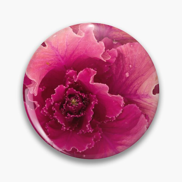 Item preview, purple cabbage open 1 designed and sold by Esther Frieda.